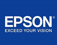 Картриджи Epson